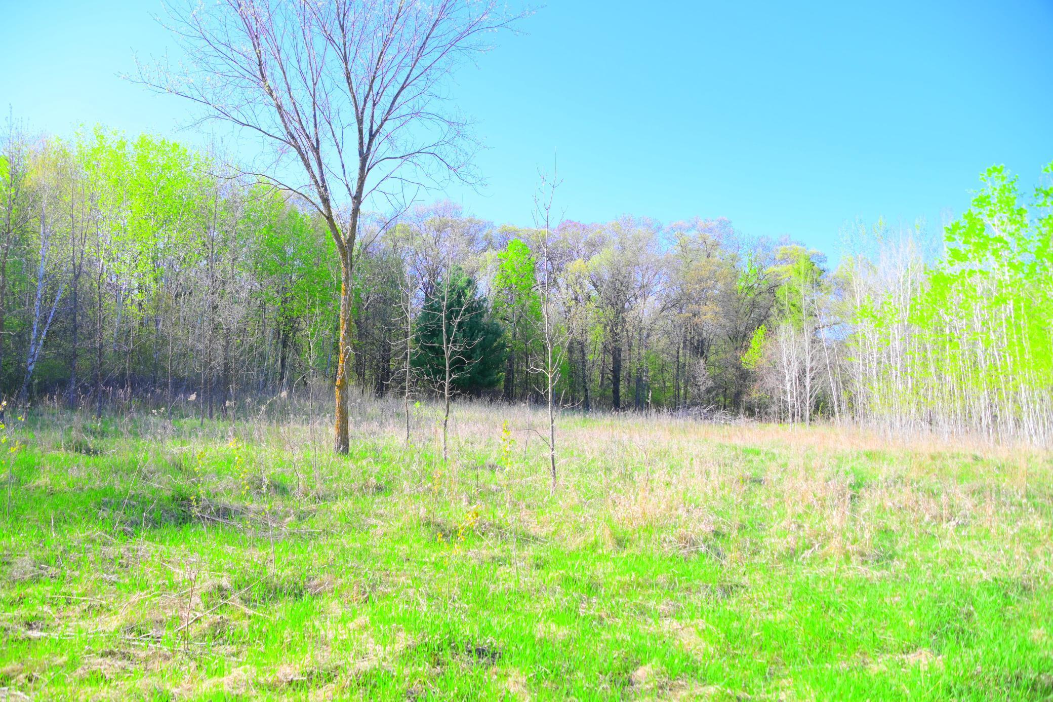 27727 Oberon Loop Browerville, MN 56438 - Photo 29 of 45