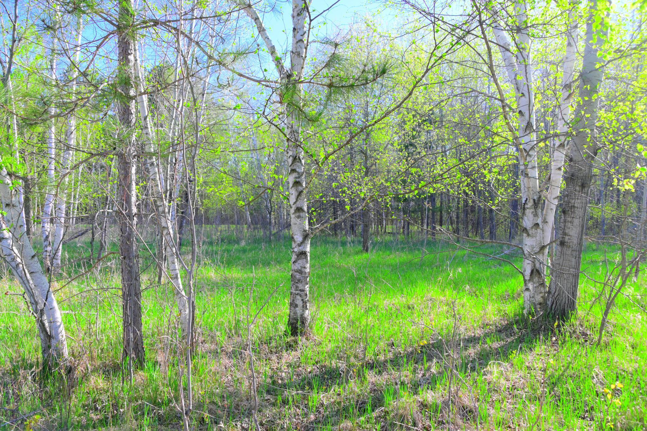 27727 Oberon Loop Browerville, MN 56438 - Photo 30 of 45