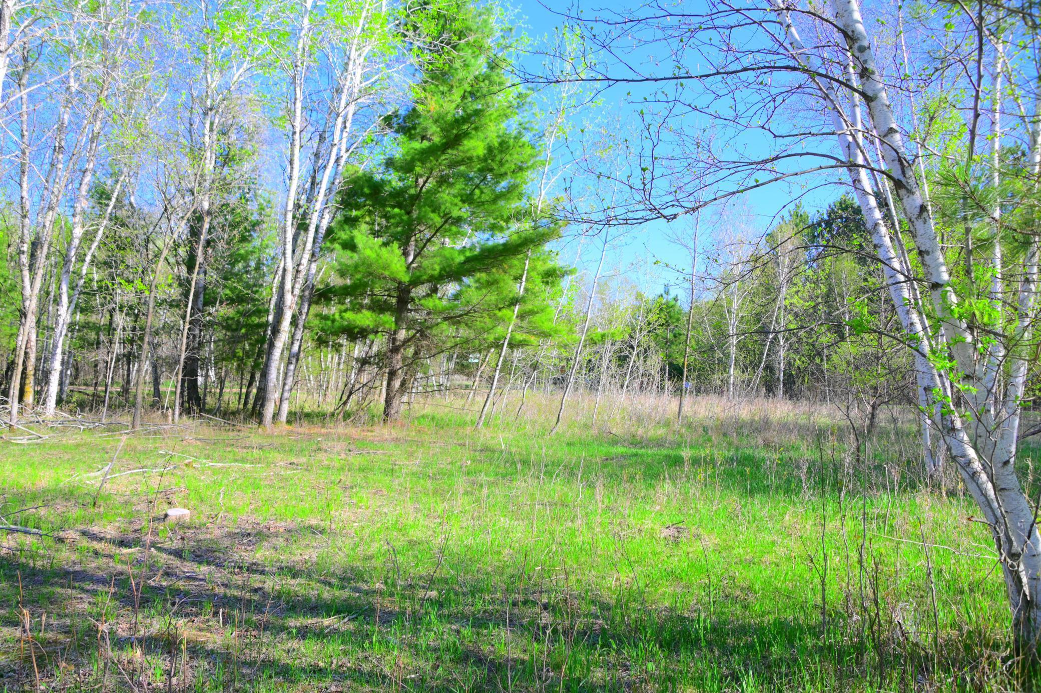 27727 Oberon Loop Browerville, MN 56438 - Photo 31 of 45