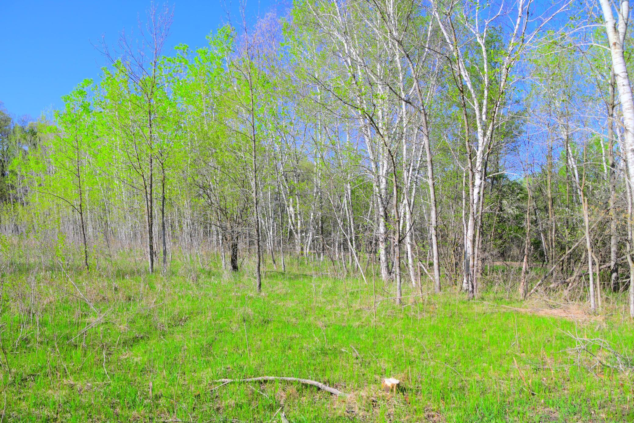 27727 Oberon Loop Browerville, MN 56438 - Photo 32 of 45