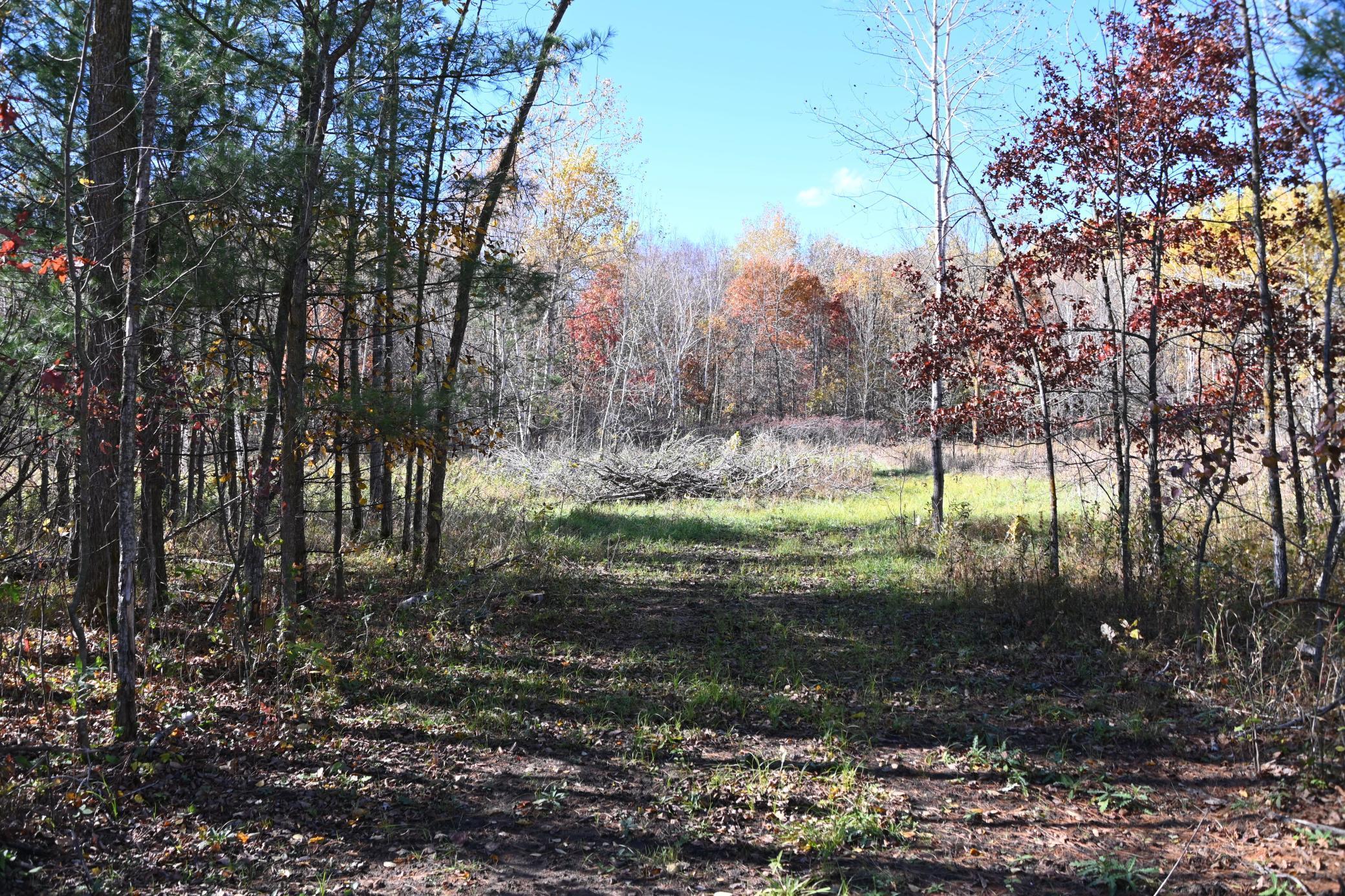27727 Oberon Loop Browerville, MN 56438 - Photo 4 of 45