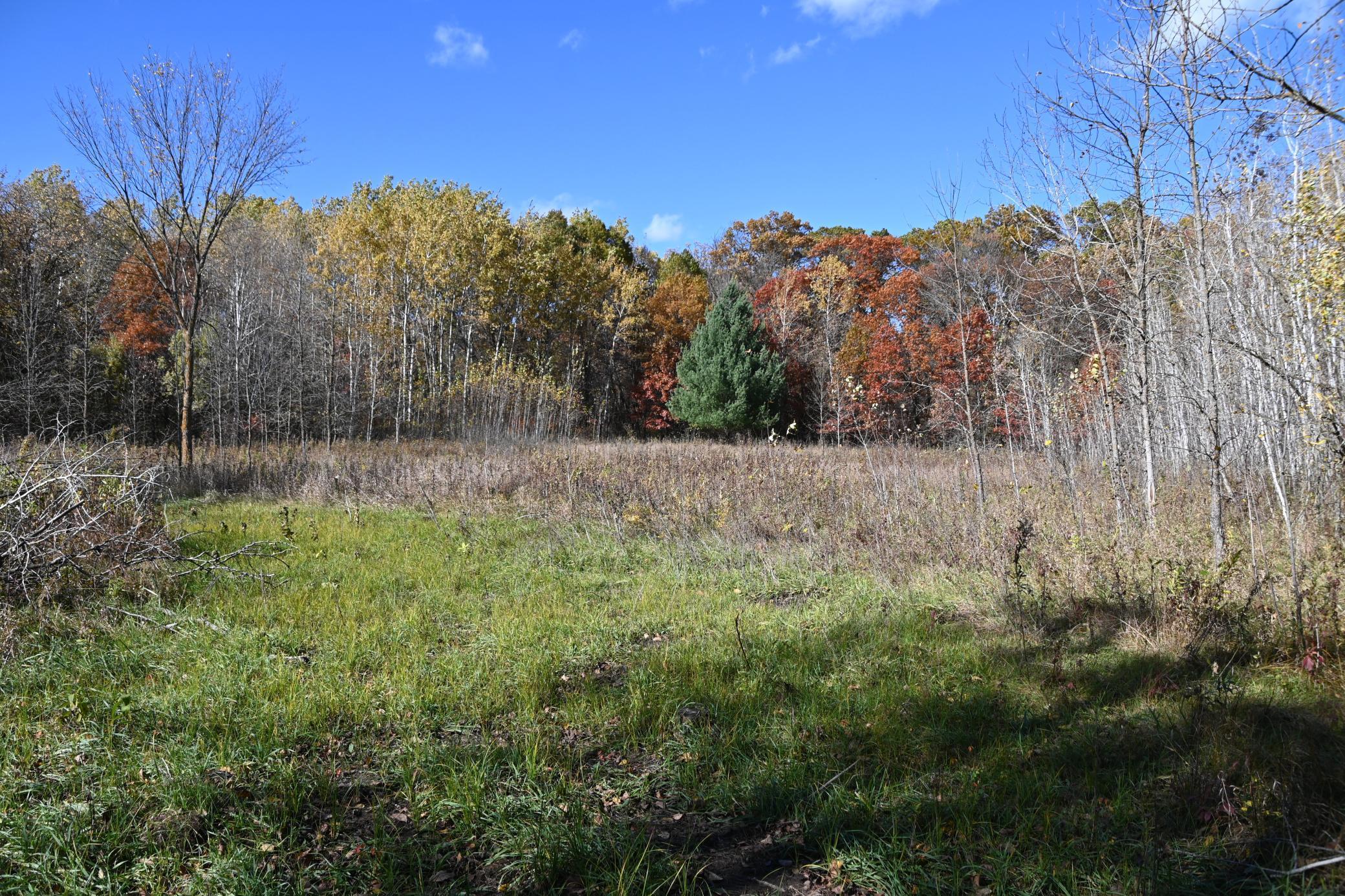 27727 Oberon Loop Browerville, MN 56438 - Photo 5 of 45