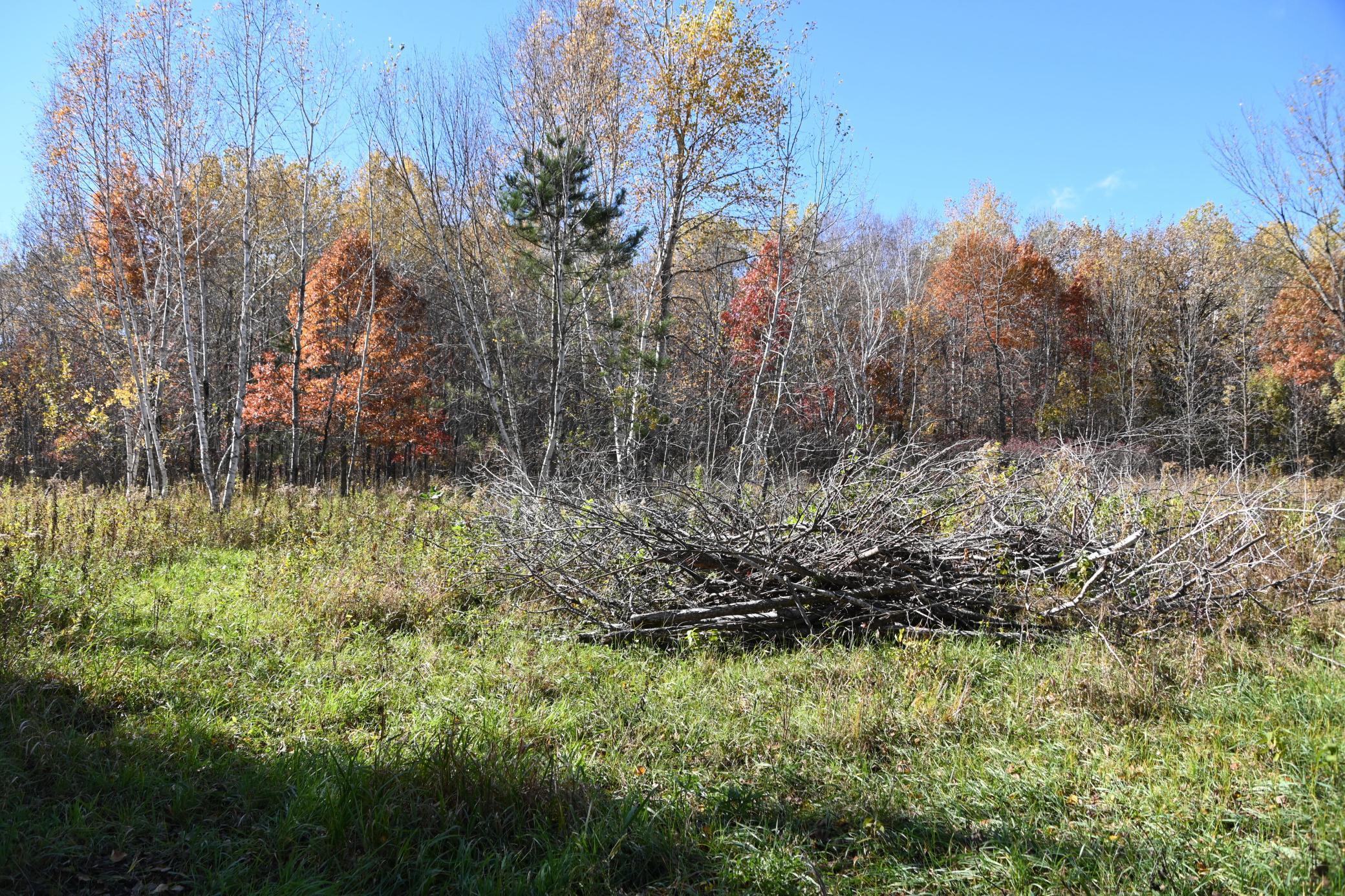 27727 Oberon Loop Browerville, MN 56438 - Photo 6 of 45