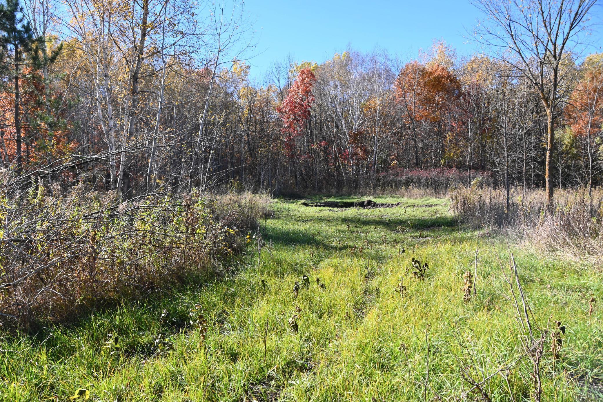 27727 Oberon Loop Browerville, MN 56438 - Photo 7 of 45