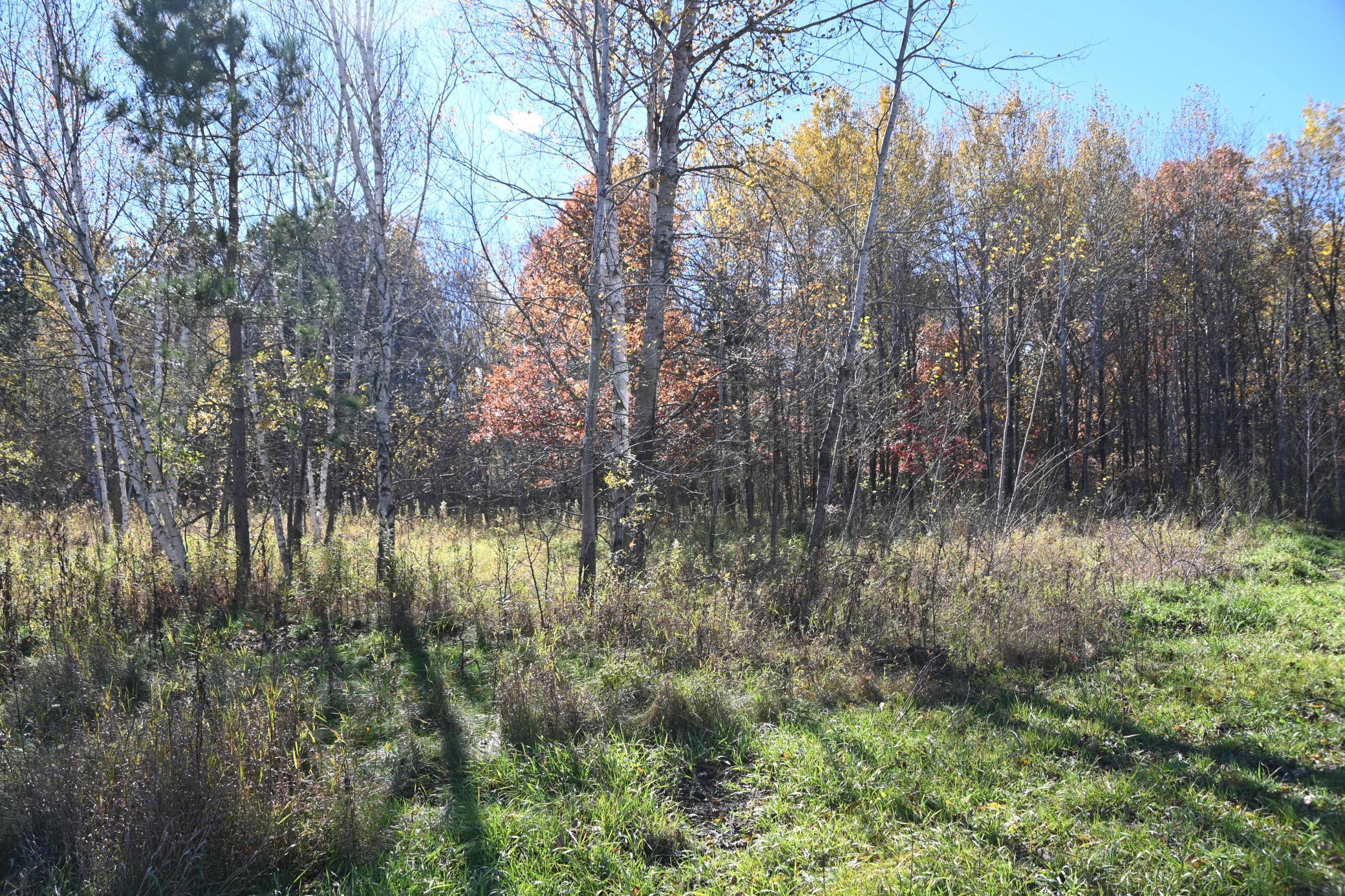 27727 Oberon Loop Browerville, MN 56438 - Photo 8 of 45