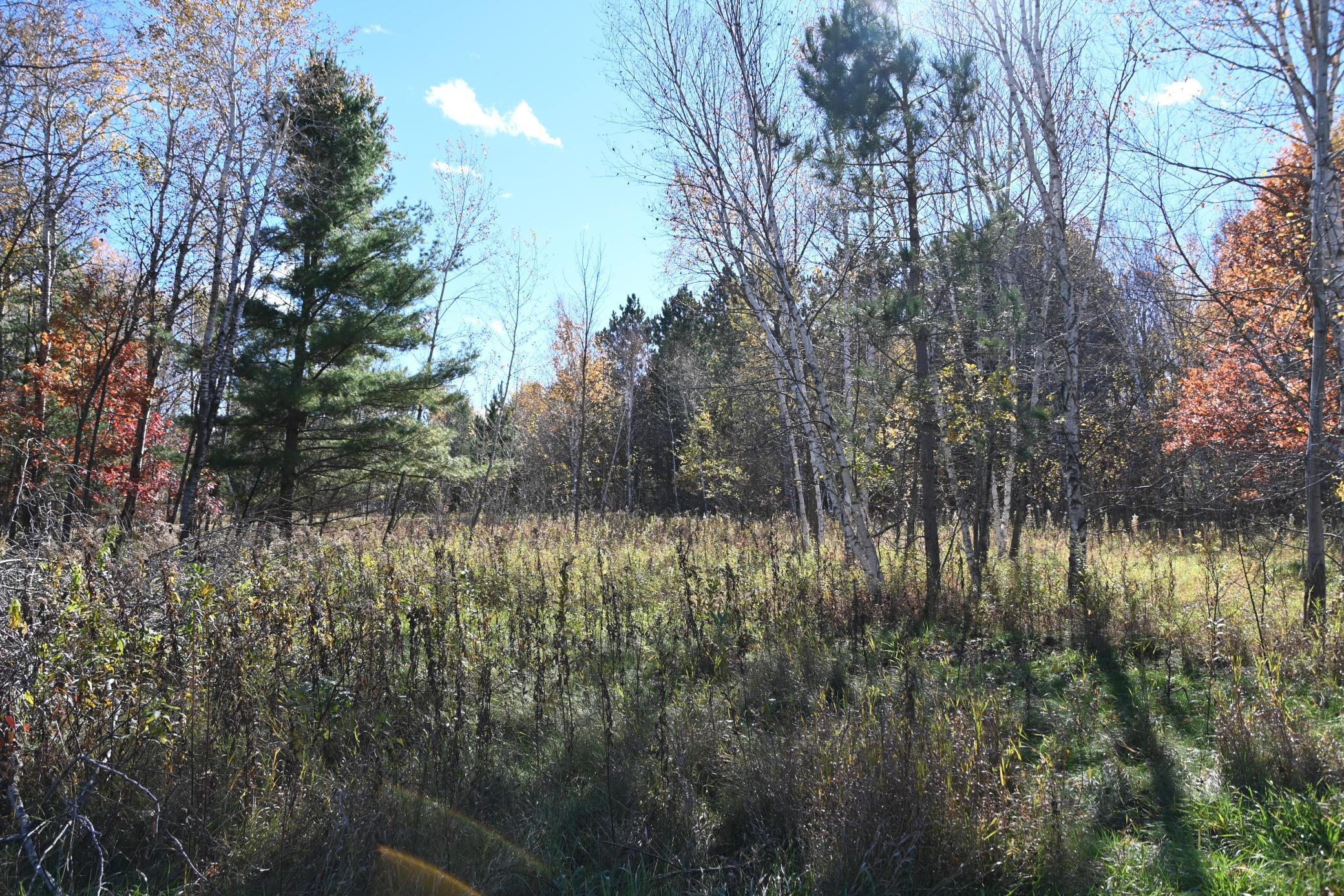 27727 Oberon Loop Browerville, MN 56438 - Photo 9 of 45