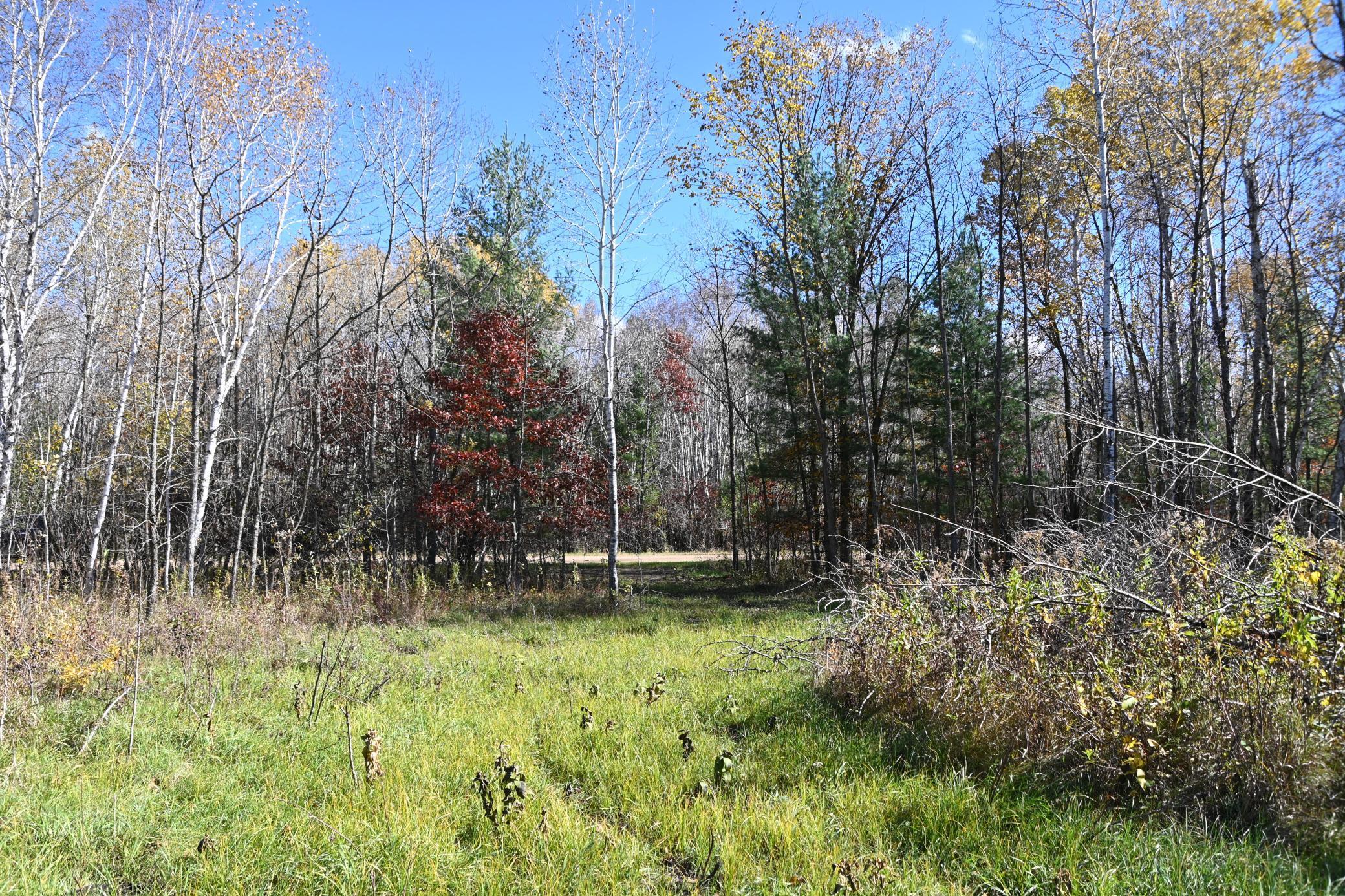 27727 Oberon Loop Browerville, MN 56438 - Photo 10 of 45