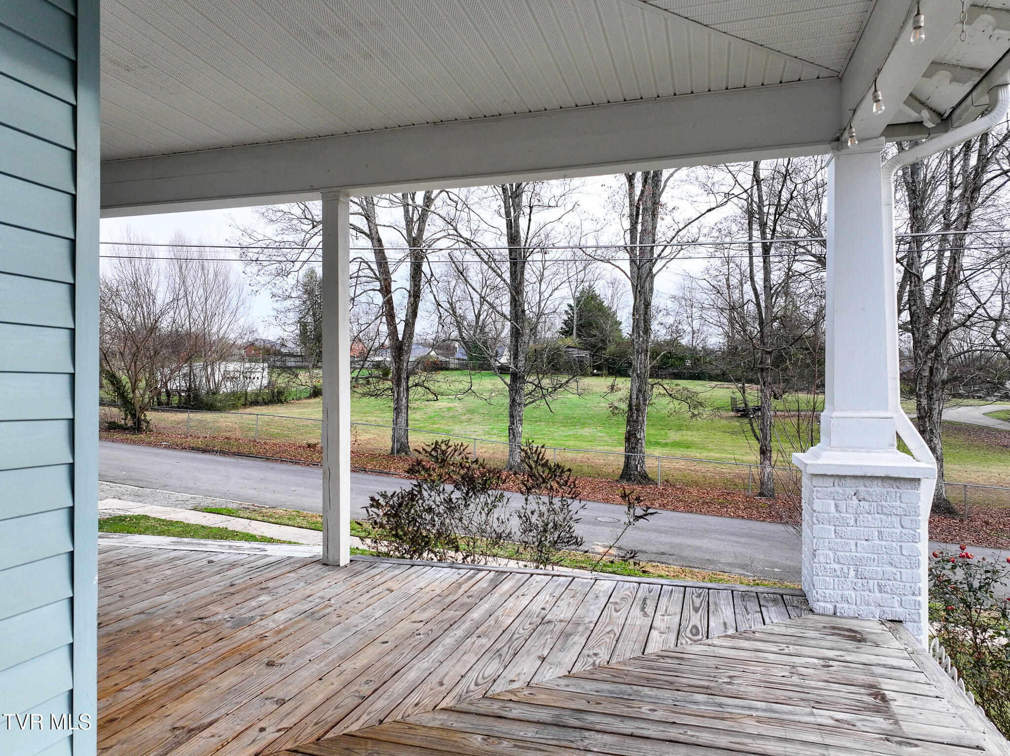 220 Unaka Street Greeneville, TN 37743 - Photo 15 of 56 Front view from porch