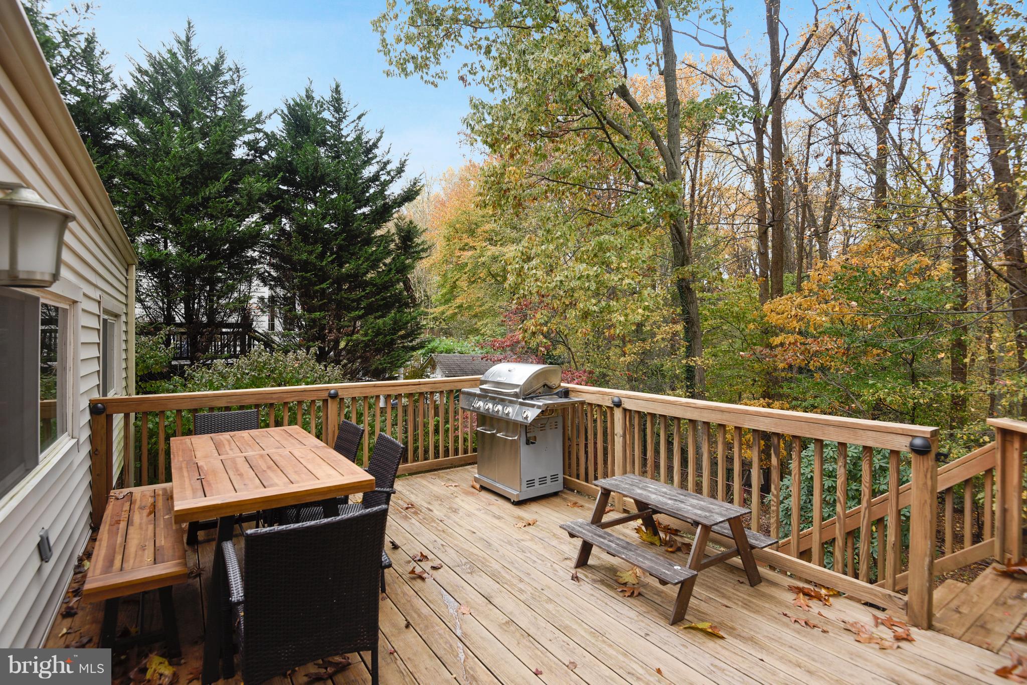 10203 Big Rock Road Silver Spring, MD 20901 - Photo 38 of 51