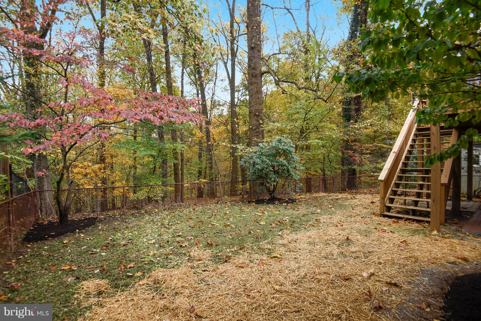 10203 Big Rock Road Silver Spring, MD 20901 - Photo 45 of 51
