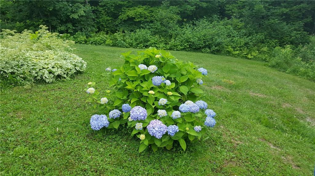 49 State Park Road Presque Isle, ME 04769 - Photo 25 of 26 Photo