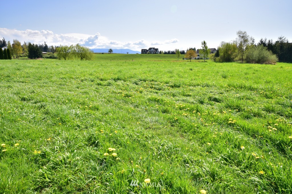 0 Van Dyk Road Lynden, WA 98264 - Photo 1 of 6 Gallery Image 1