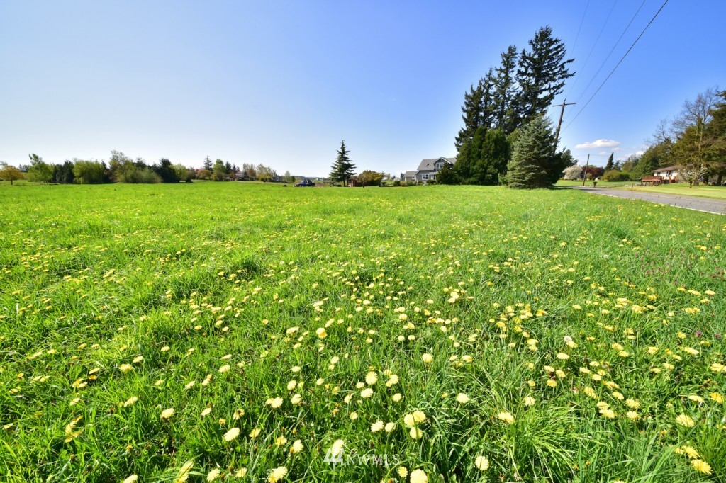 0 Van Dyk Road Lynden, WA 98264 - Photo 5 of 6 Gallery Image 5