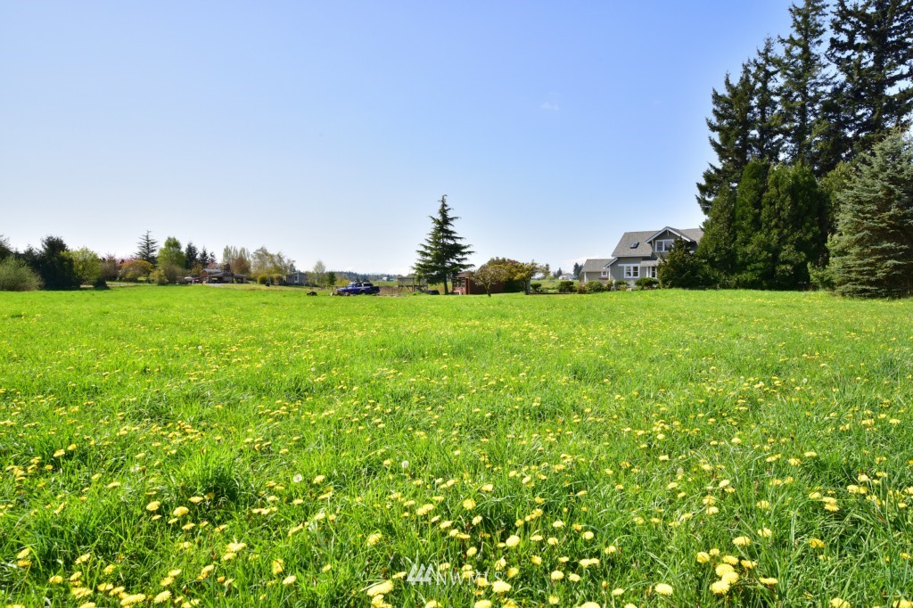 0 Van Dyk Road Lynden, WA 98264 - Photo 6 of 6 Gallery Image 6