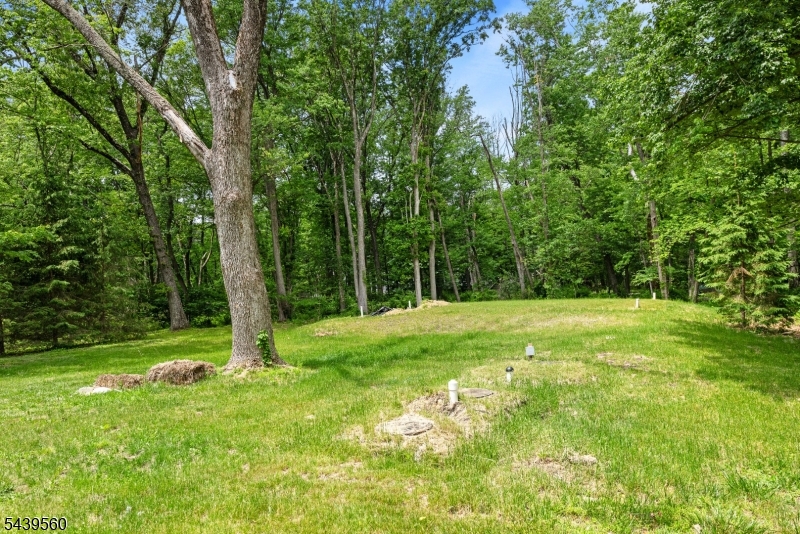 20 Cooper Lane Chester, NJ 07930 - Photo 23 of 23