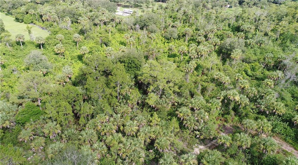 9th Street Northwest Naples, FL 34120 - Photo 6 of 8 a view of a big yard with plants and large trees