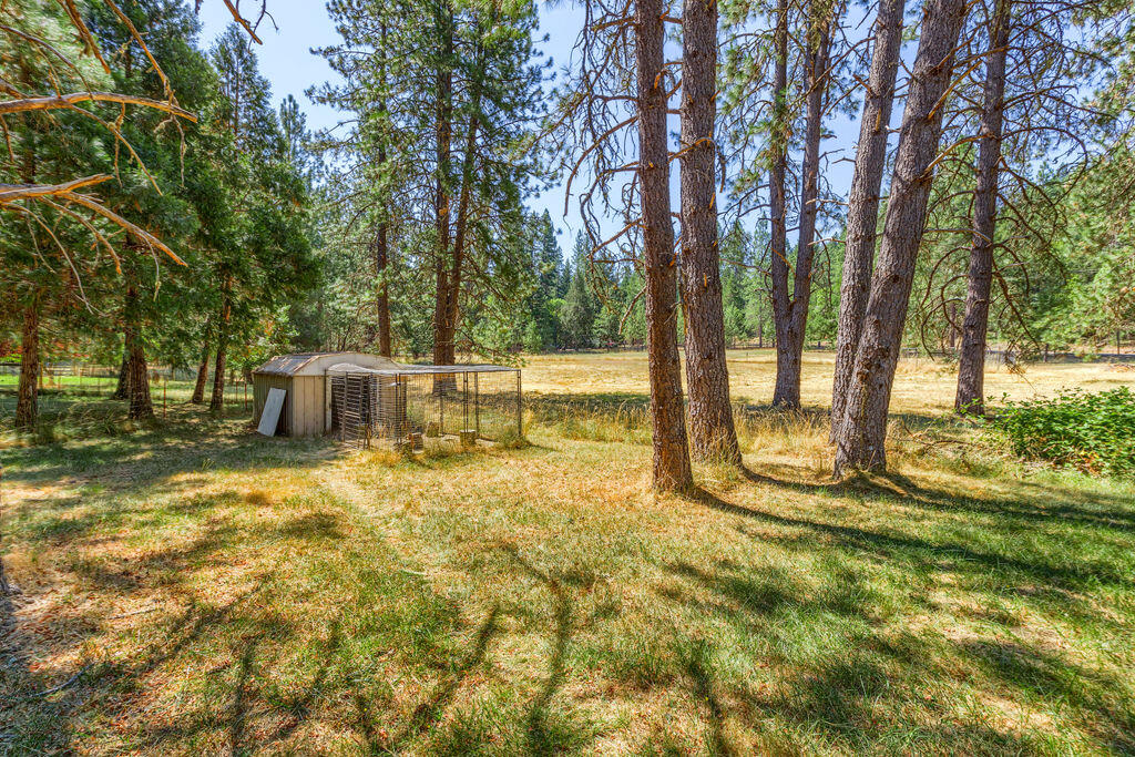 1065 Minthorne Road Rogue River, OR 97537 - Photo 12 of 49 MR(21)
