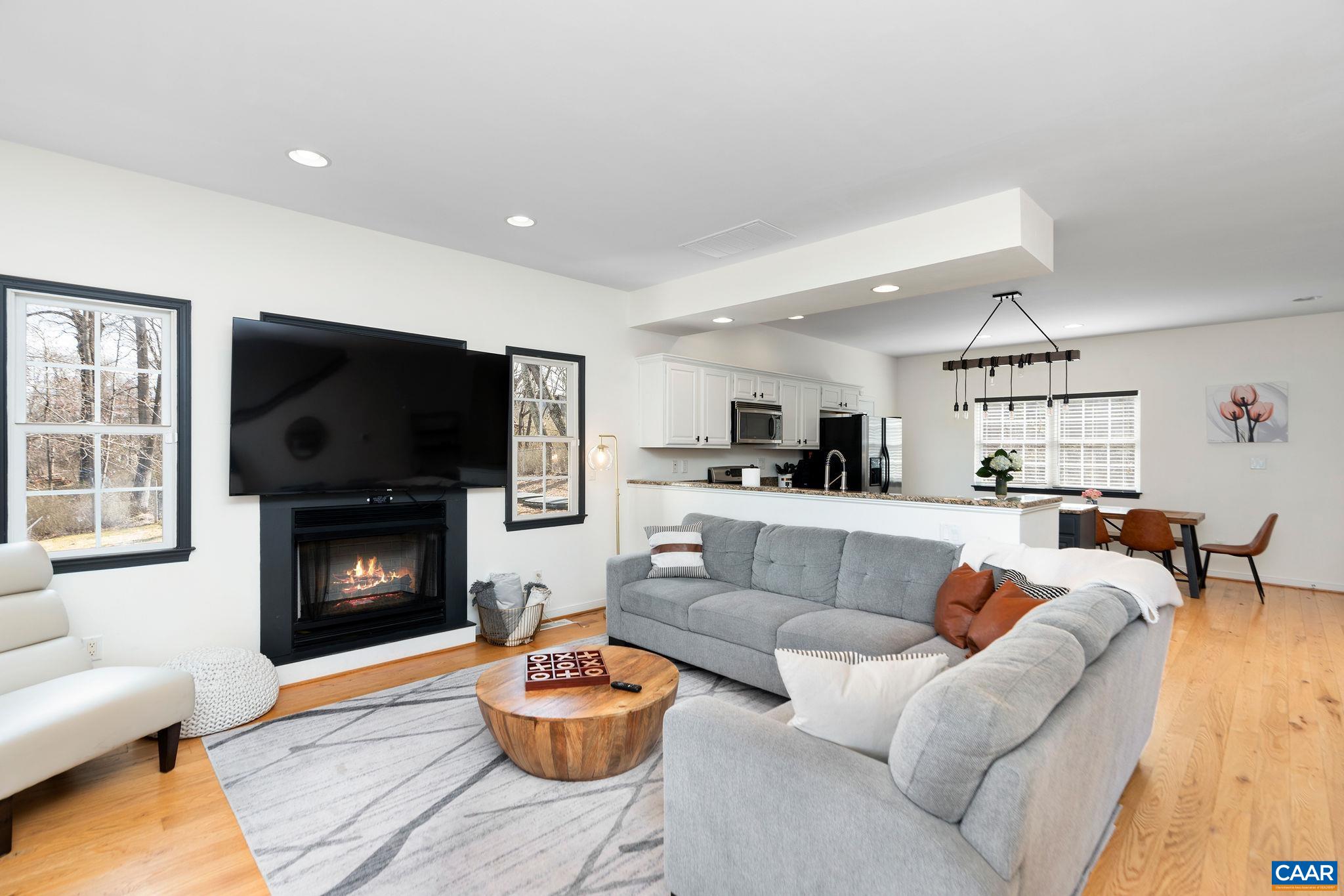 57 Pounding Branch Road Afton, VA 22920 - Photo 2 of 31 a living room with furniture a flat screen tv and a fireplace