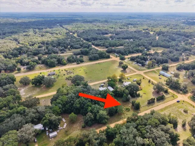a view of a yard with plants