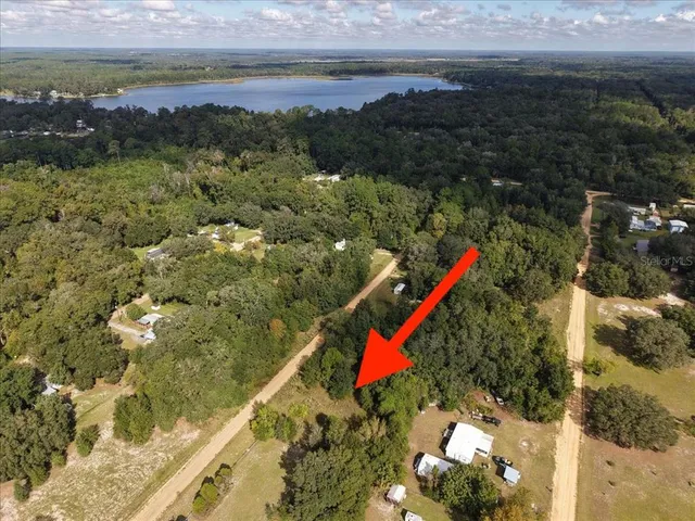 a view of a park with large trees