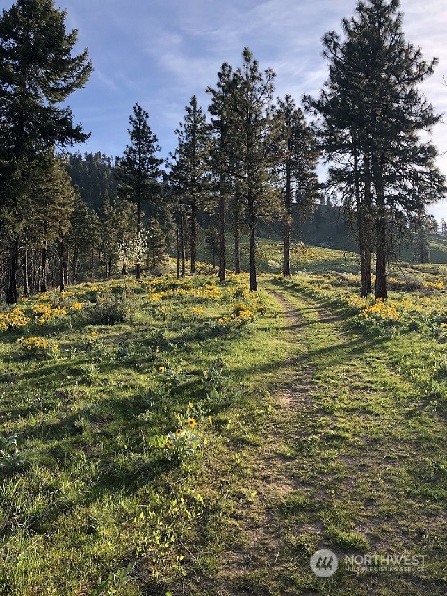 8105 Williams Canyon Road Cashmere, WA 98815 - Photo 2 of 40 Gallery Image 2