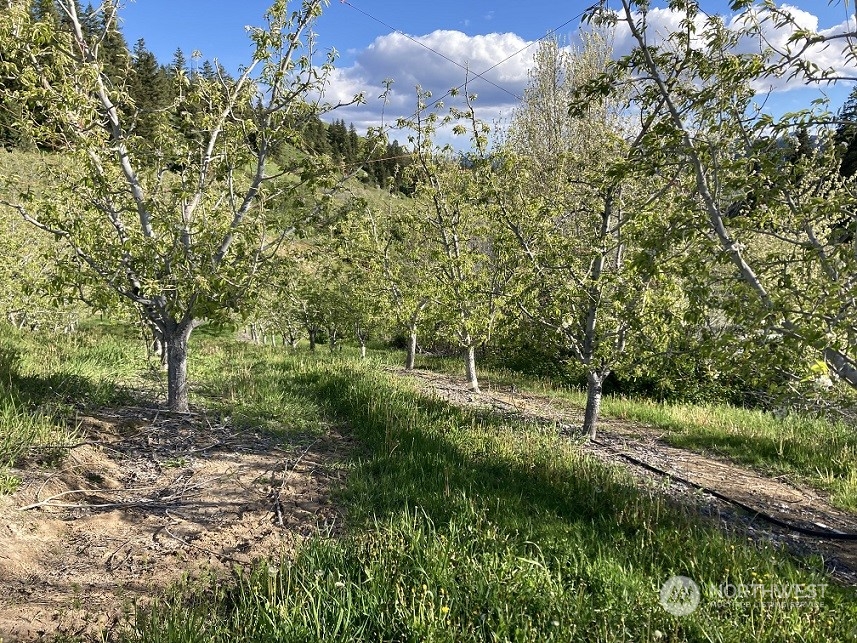 8105 Williams Canyon Road Cashmere, WA 98815 - Photo 32 of 40 Gallery Image 32