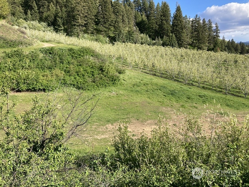 8105 Williams Canyon Road Cashmere, WA 98815 - Photo 35 of 40 Gallery Image 35