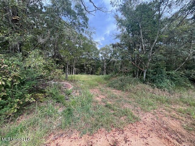 0 Clinton Raymond Road Clinton, MS 39056 - Photo 1 of 1 Image