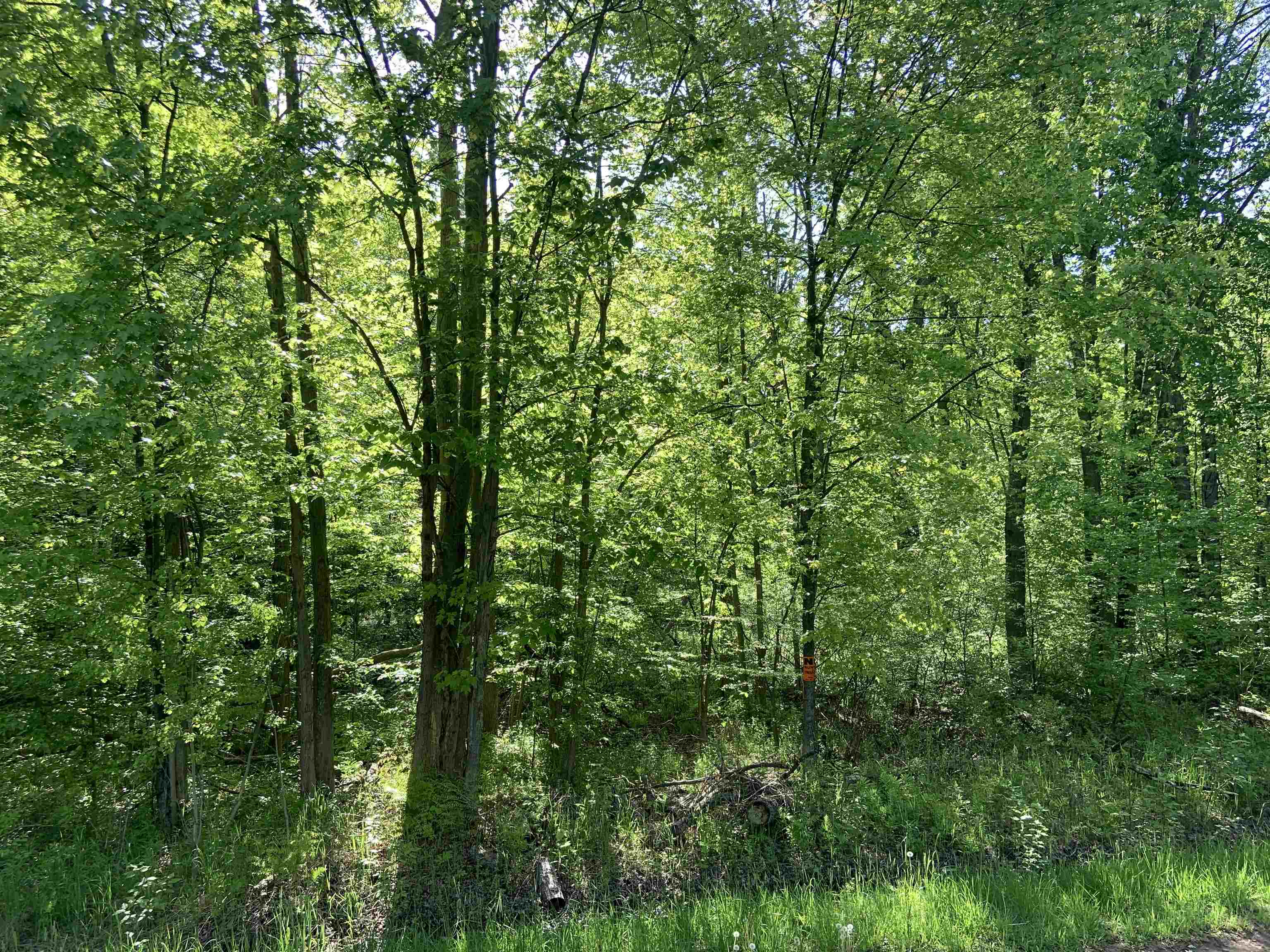 2090 East Baker Road Midland, MI 48642 - Photo 10 of 12
