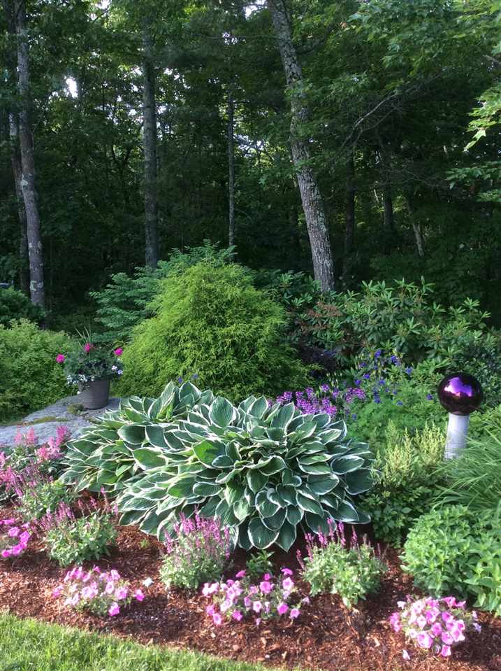 33 Duston Road Windham, NH 03087 - Photo 8 of 40 Gallery Image 8