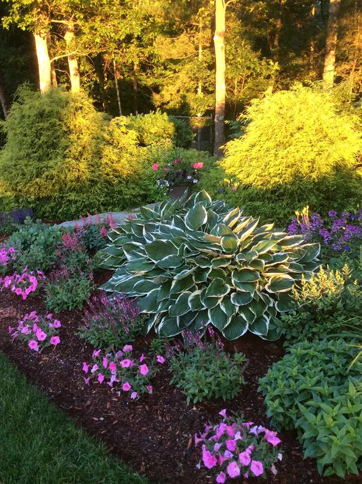 33 Duston Road Windham, NH 03087 - Photo 9 of 40 Gallery Image 9