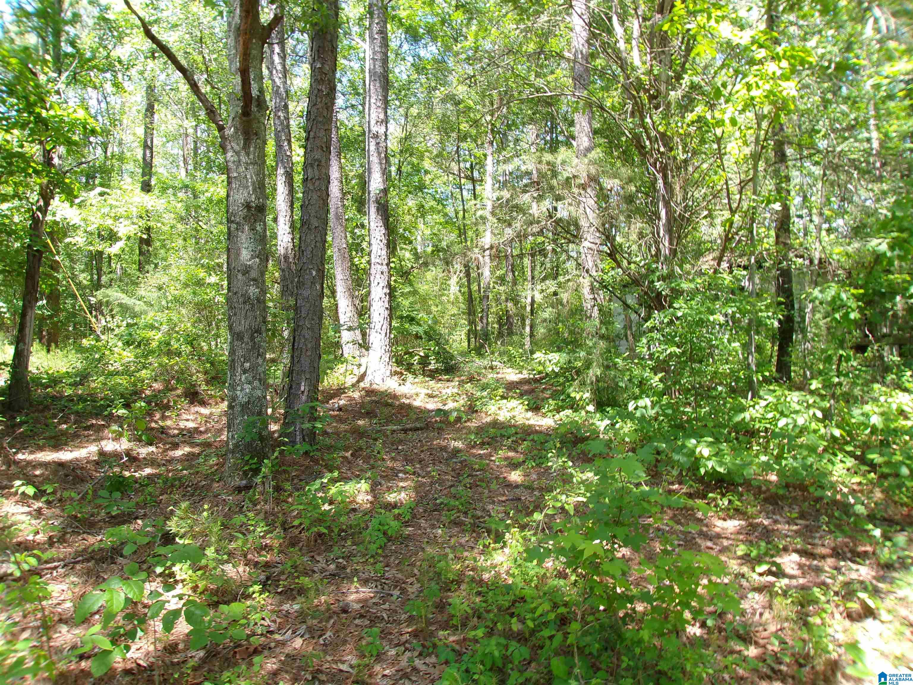 1 St Mary Road South, Unit 1 Lincoln, AL 35096 - Photo 6 of 23