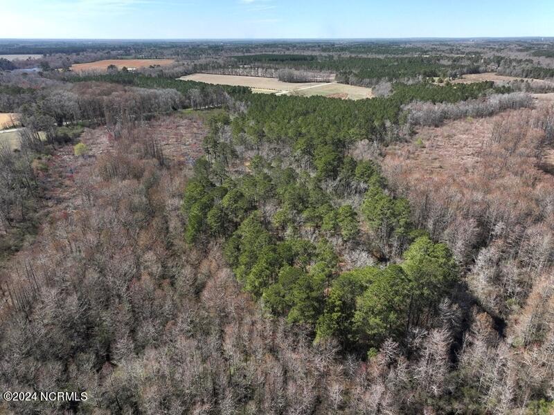 Tbd McGougan Road Lumber Bridge, NC 28357 - Photo 10 of 16 DJI_20240312142541_0142_D