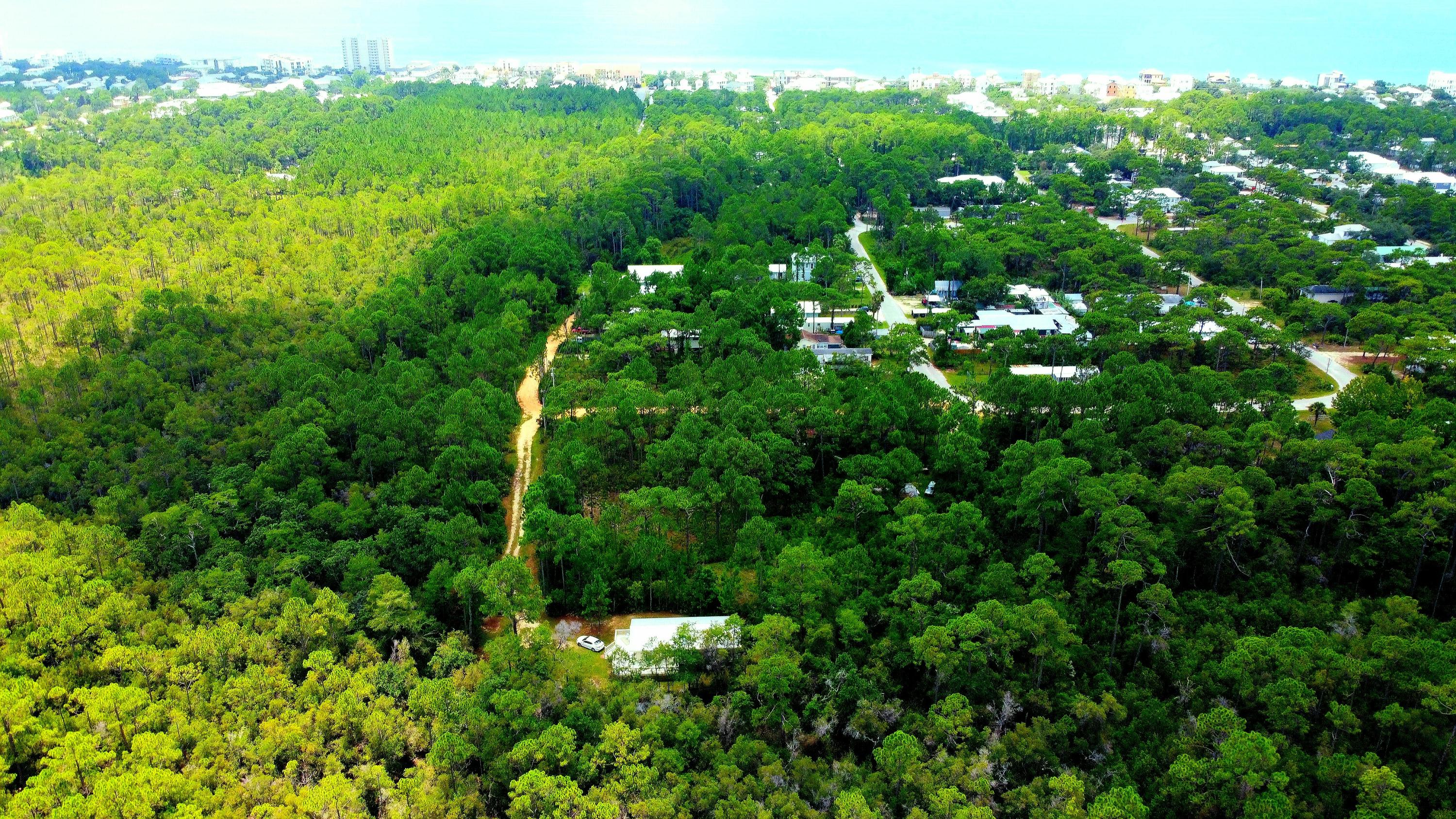59 Chelsey Lane Santa Rosa Beach, FL 32459 - Photo 30 of 31 a view of a lush green forest with plants and trees