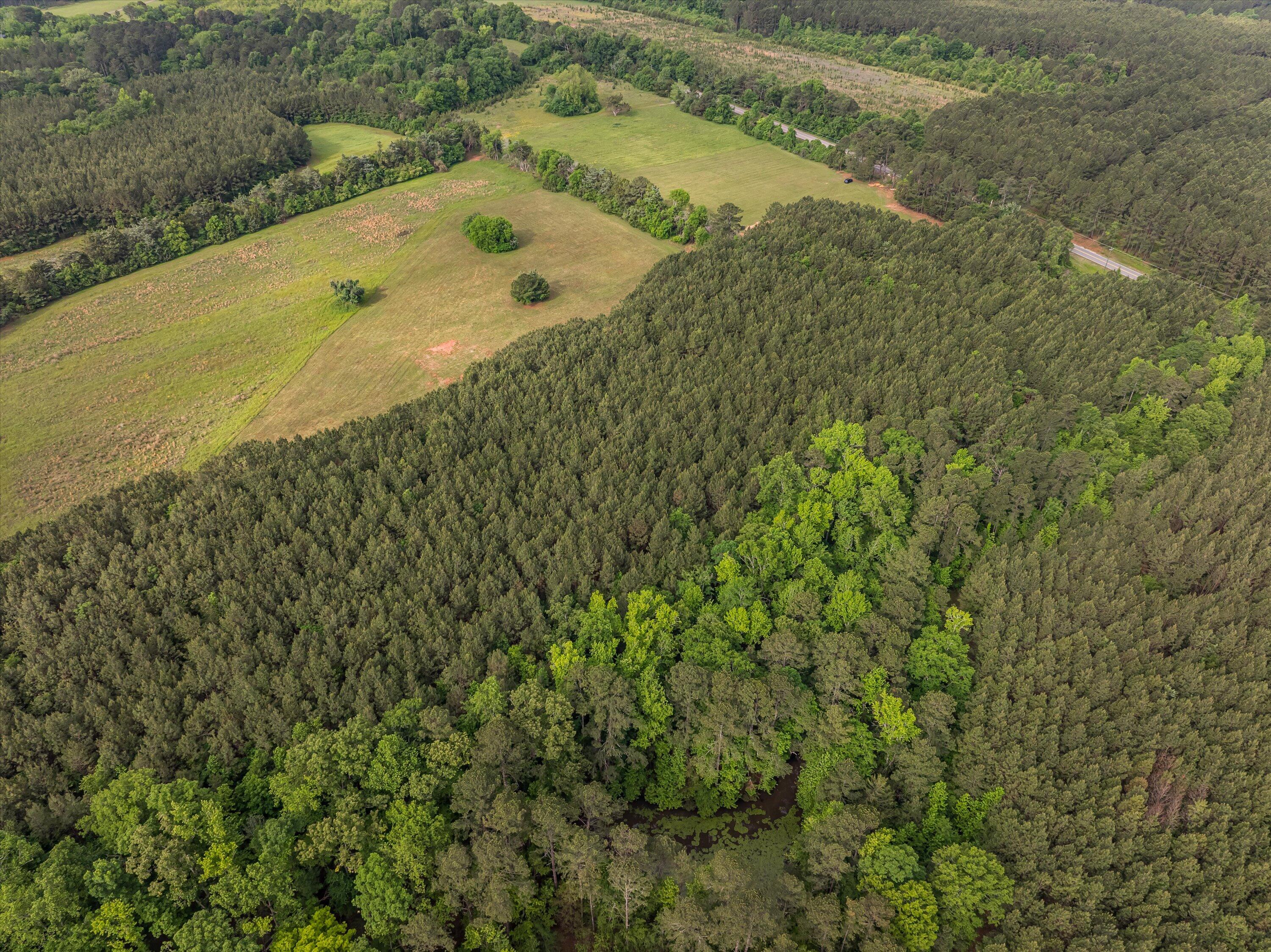 5760 Cobbham Road Appling, GA 30802 - Photo 16 of 42 29-Lot 2_17