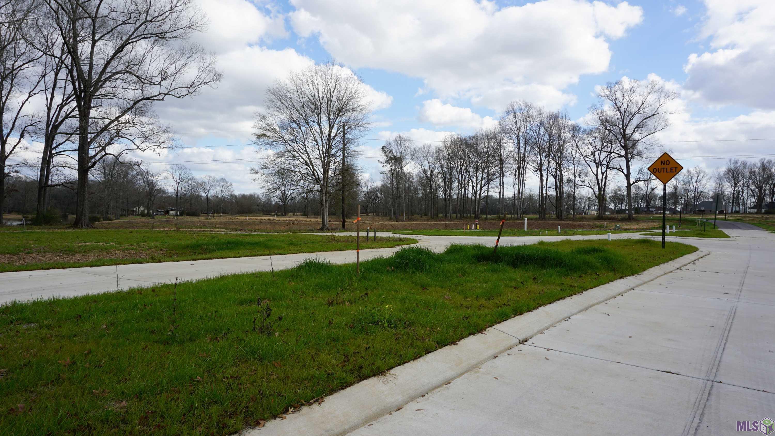 68 Jackson La Jackson, LA 70748 - Photo 4 of 33