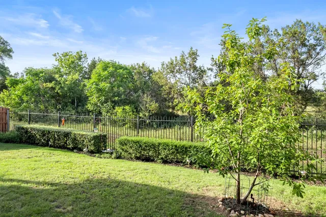a view of a garden with a tree