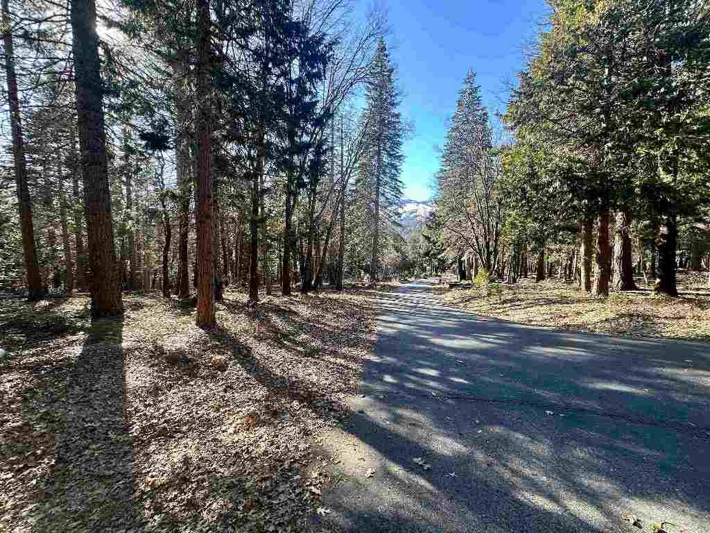 3 Deetz Road Rd Mount Mount Shasta, CA 96067 - Photo 28 of 37 Gallery Image 28
