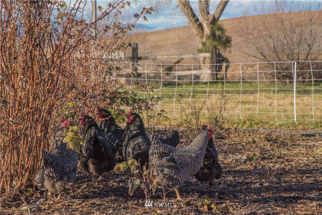 8201 4th Parallel Road Ellensburg, WA 98926 - Photo 34 of 40 Gallery Image 34