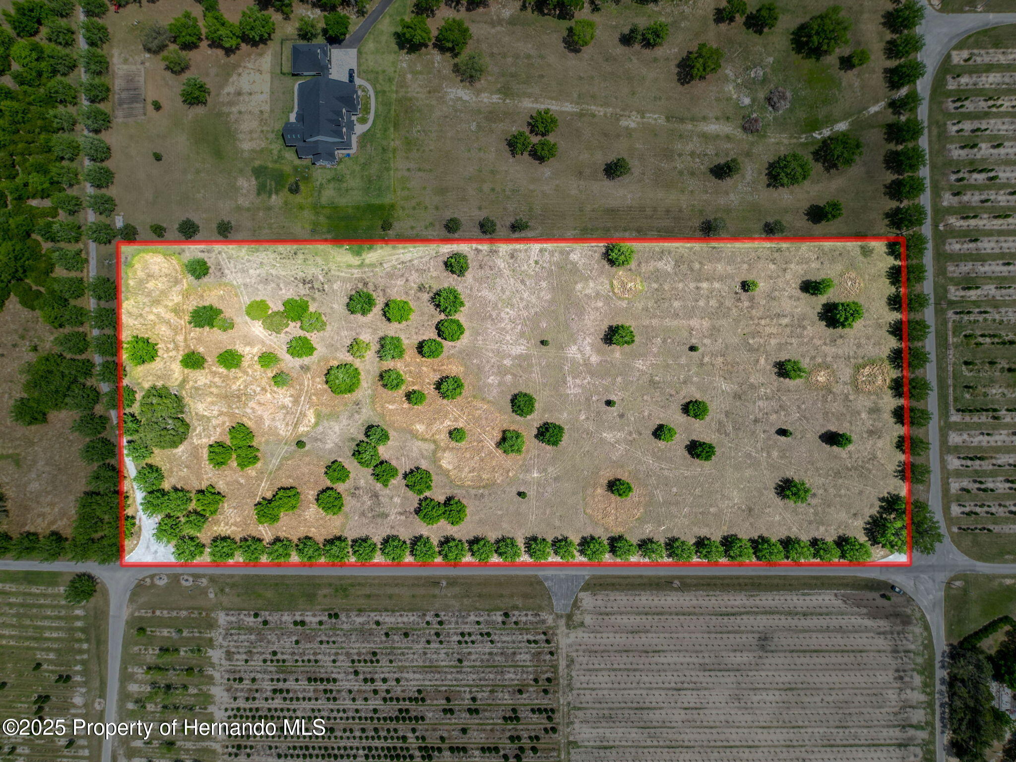 0 Hidden Meadows Road Brooksville, FL 34601 - Photo 4 of 22