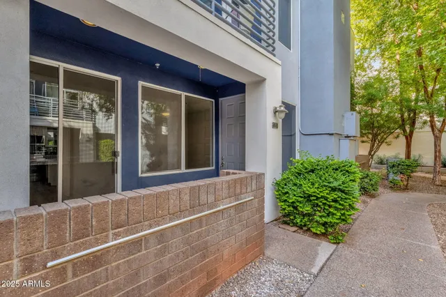 a view of a house with a potted plant and a large window