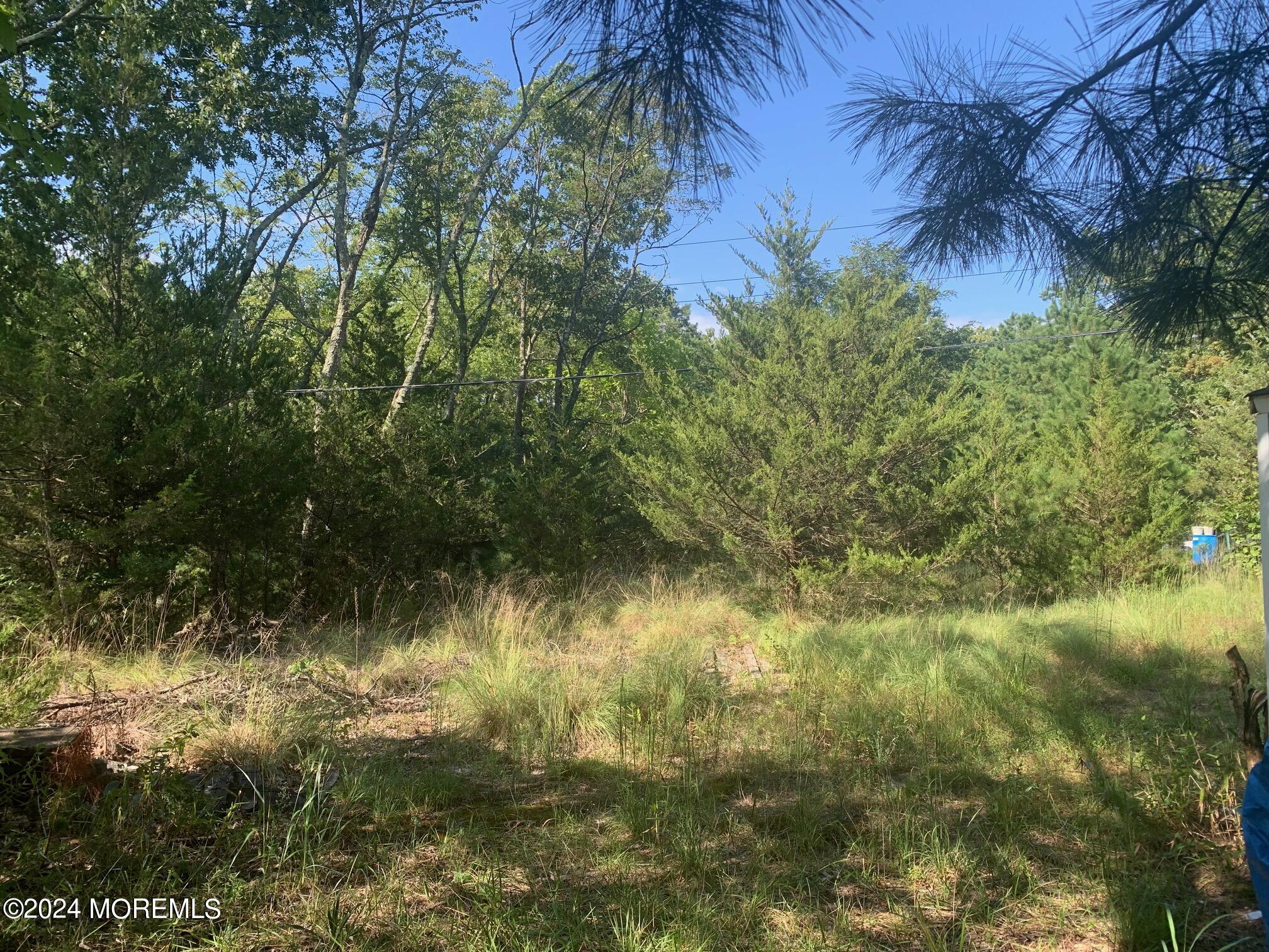 696 Wright Debow Road Jackson, NJ 08527 - Photo 20 of 31 a view of a lake