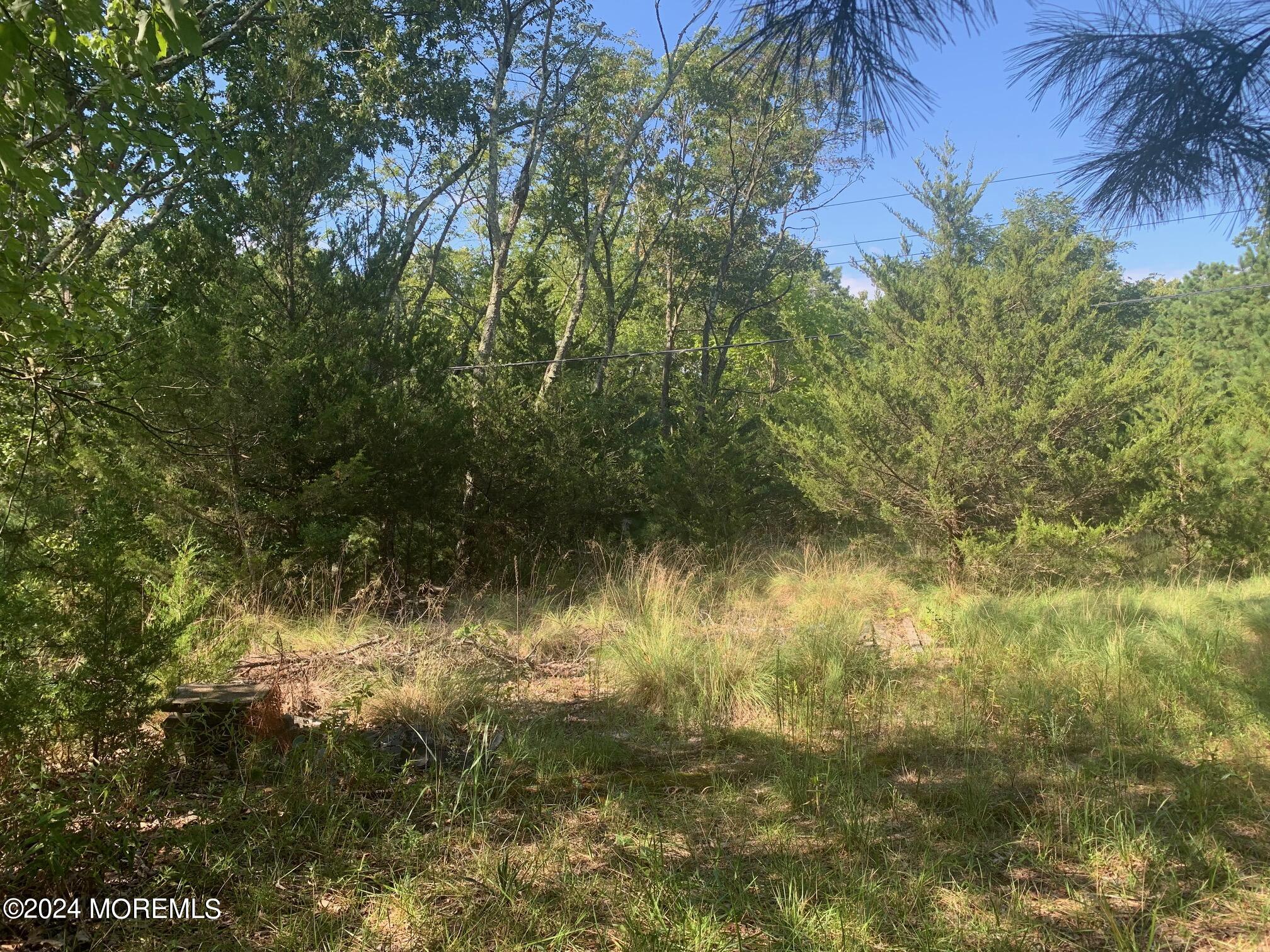 696 Wright Debow Road Jackson, NJ 08527 - Photo 21 of 31