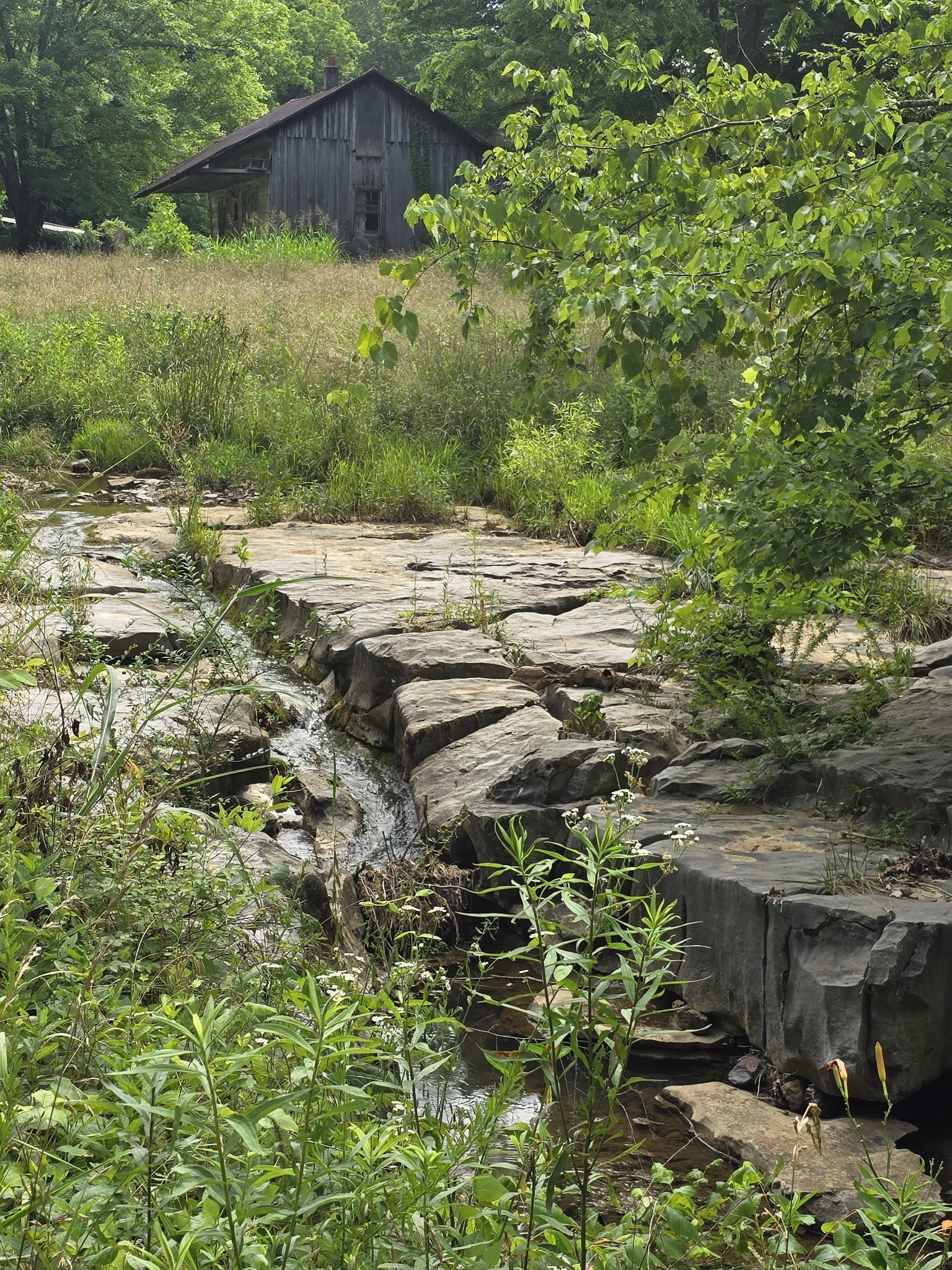0 England Road Dickson, TN 37055 - Photo 1 of 30 Gallery Image 1