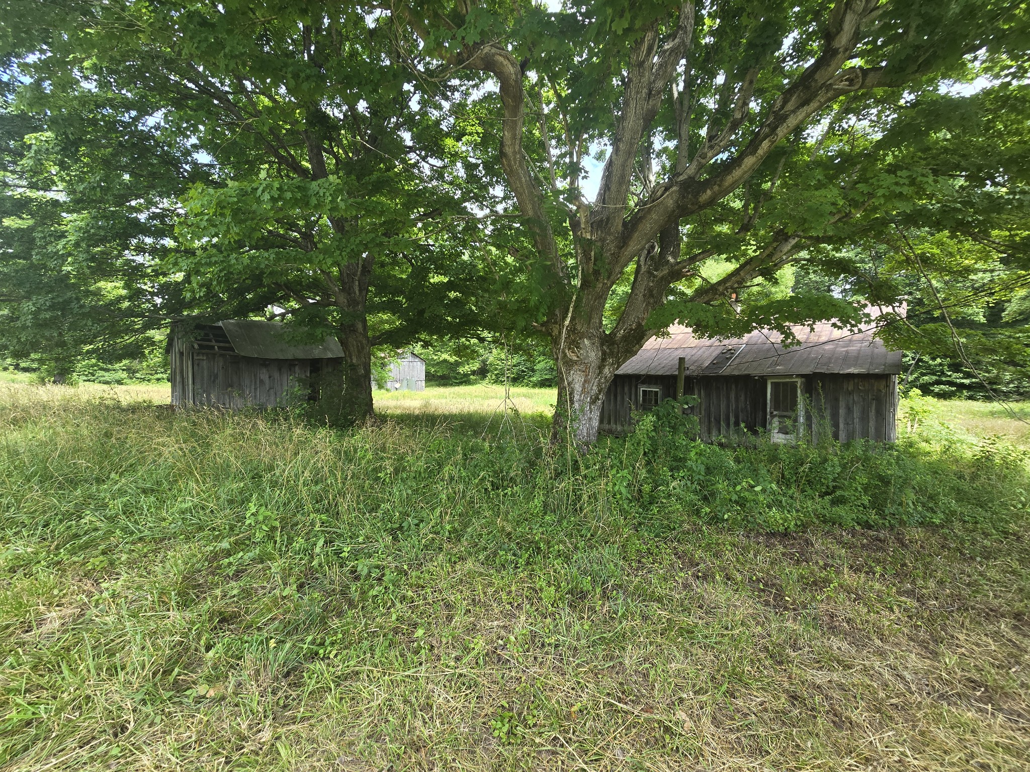 0 England Road Dickson, TN 37055 - Photo 7 of 30 Gallery Image 7