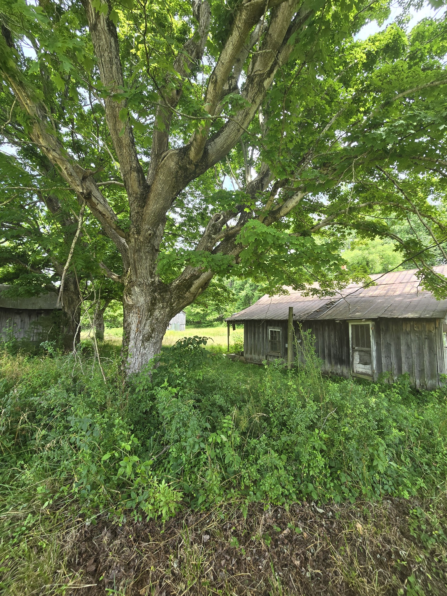 0 England Road Dickson, TN 37055 - Photo 10 of 30 Gallery Image 10