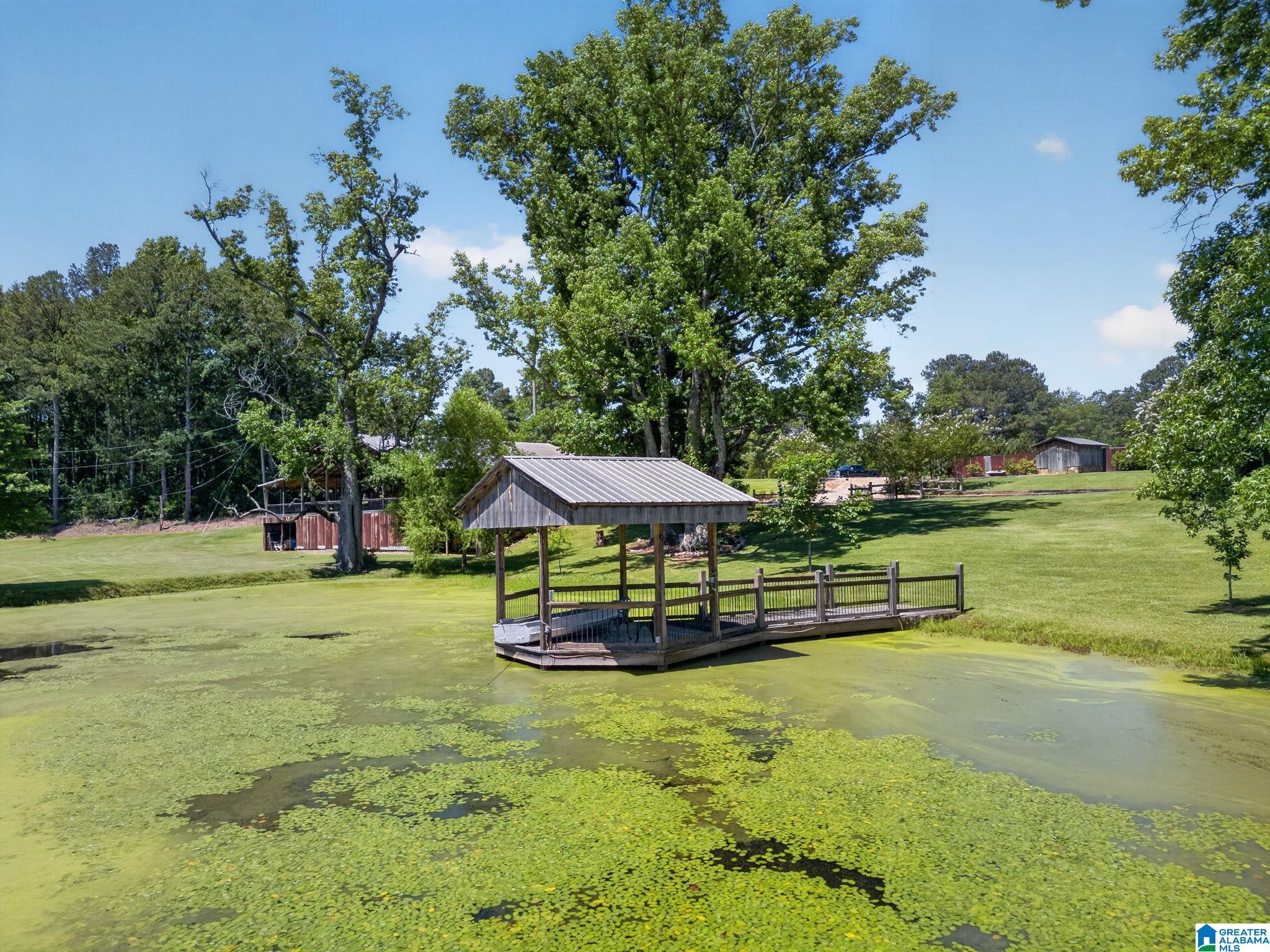3463 County Road 3 Delta, AL 36258 - Photo 75 of 100
