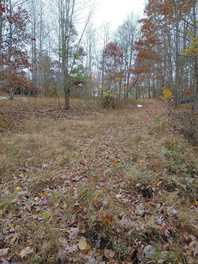 759 Dodds Road Otway, OH 45657 - Photo 35 of 41 Wooded