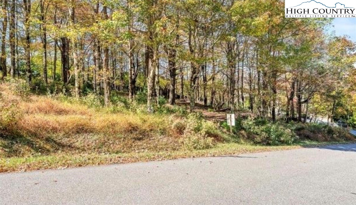 Lot 71 Summit Park Boone, NC 28607 - Photo 2 of 5 a view of backyard of a house