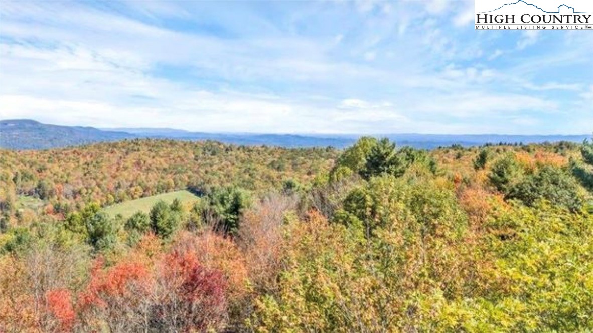 Lot 71 Summit Park Boone, NC 28607 - Photo 4 of 5